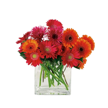 Load image into Gallery viewer, Charming Gerberas