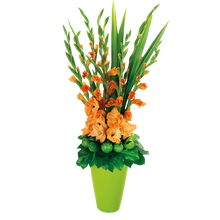 Load image into Gallery viewer, Glorious Gladiolus