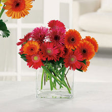 Load image into Gallery viewer, Charming Gerberas