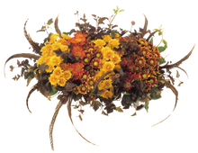 Load image into Gallery viewer, Chrysanthemum Casket Spray
