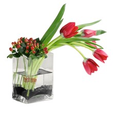 Load image into Gallery viewer, Tulips And Hypericum In Glass Vase
