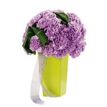 Load image into Gallery viewer, Classy Carnations
