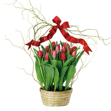 Load image into Gallery viewer, Totally Tulips
