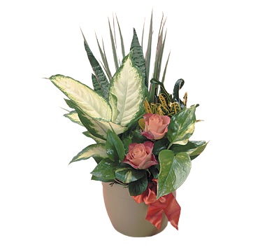 Green Garden – A Touch of Heaven Floral Designs