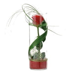 One Stunning Stem Fresh Cut Floral Arrangement