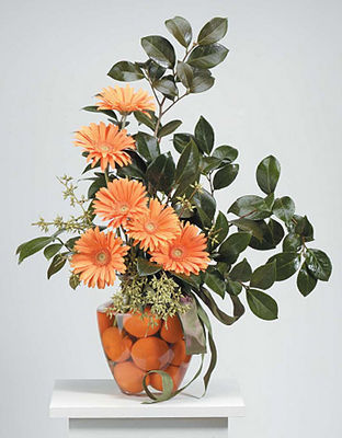 Orange Gerbera & Tangerine Vase Arrangement