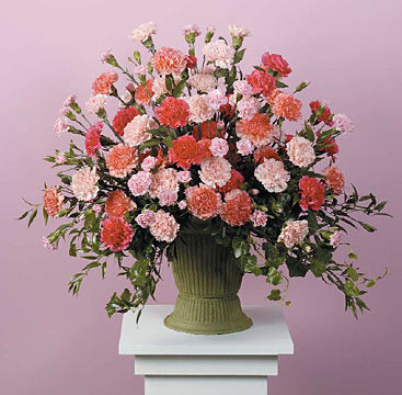 Pink & Peach Carnation Urn