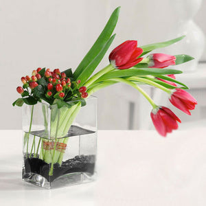 Tulips And Hypericum In Glass Vase