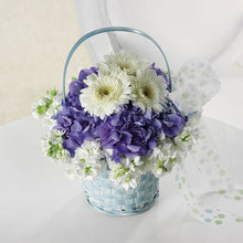 Load image into Gallery viewer, Baby Blue Basket

