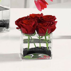 Glass Cube of Roses